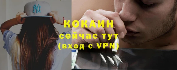 PSILOCYBIN Дмитровск