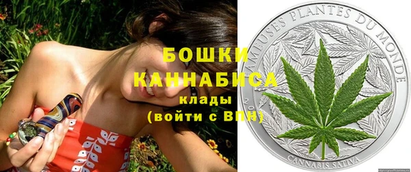 прущая мука Дмитриев