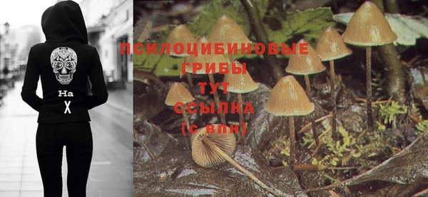 каннабис Гусев