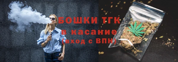 гидропоника Гусь-Хрустальный