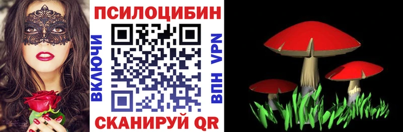 Галлюциногенные грибы мицелий  купить наркотики цена  Южно-Сахалинск 